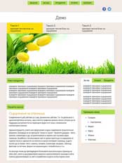 Темплейт за сайт конструктор FreshnessPro